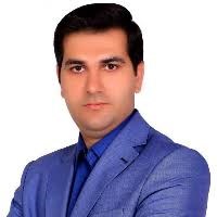  دكتر هاشم هادي