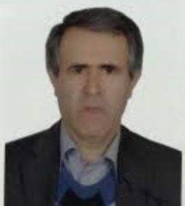 image_Dr. Seyed Moussa Kafi Masuleh